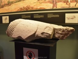 Ciudad de Elche 2022